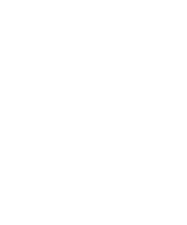 Majestix